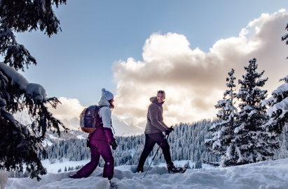 Ski Poles | TSL Outdoor